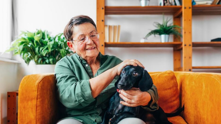 lady spending day at home, sitting on the sofa and cuddling her dog